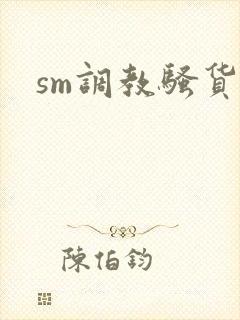 sm调教骚货h