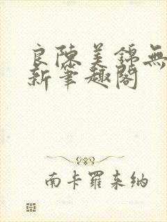 良陈美锦无删减新笔趣阁