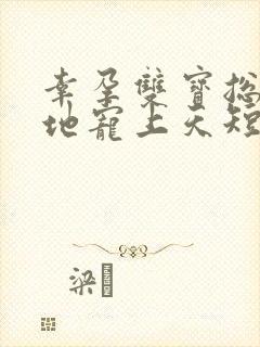 幸孕双宝总裁爹地宠上天短剧