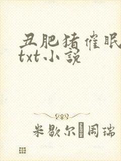 丑肥猪催眠美人txt小说