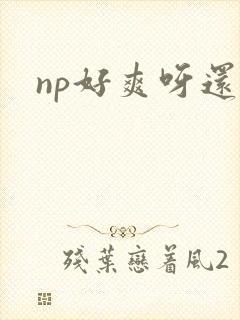 np好爽呀还要