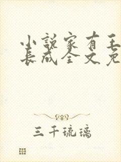 小说家有王妃初长成全文免费阅读