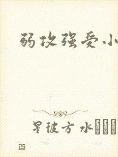 弱攻强受小说肉