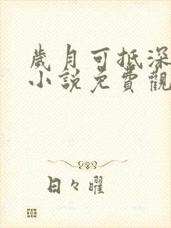 岁月可抵深情长小说免费观看