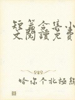 短篇合集小说全文阅读免费无弹窗