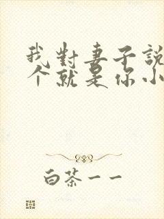 我对妻子说下一个就是你小说