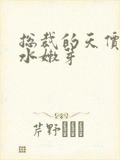 总裁的天价前妻水嫩芽