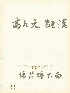 高h文 糙汉