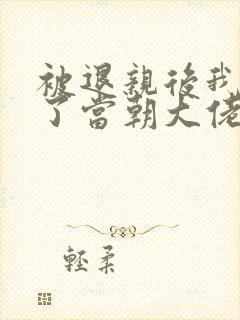 被退亲后我嫁给了当朝大佬小说封面