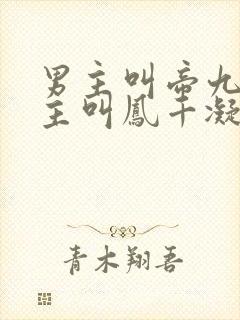 男主叫帝九幽女主叫凤千凝