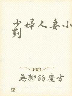 少妇人妻小说系列