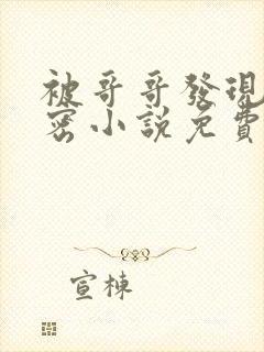 被哥哥发现的秘密小说免费阅读全文