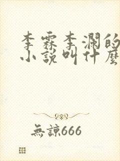 李霖李澜的官场小说叫什么