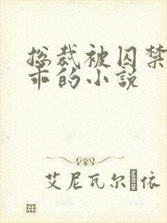 总裁被囚禁后变乖的小说