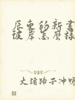 辰东的新书深空彼岸怎么样封面