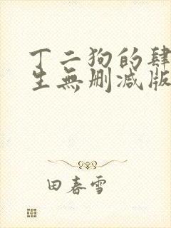 丁二狗的肆意人生无删减版 小说