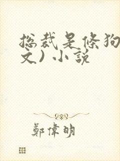 总裁是条狗(宠文) 小说封面