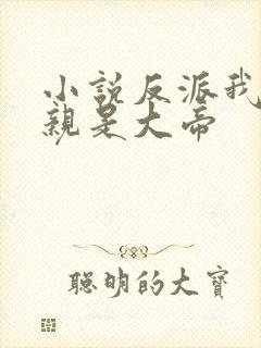 小说反派我的母亲是大帝