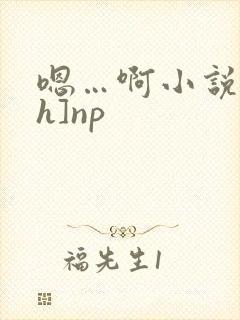 嗯…啊小说[高h]np
