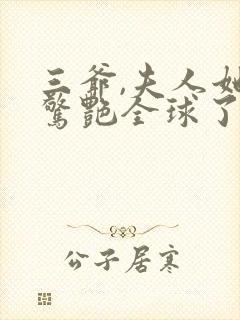 三爷,夫人她又惊艳全球了txt下载