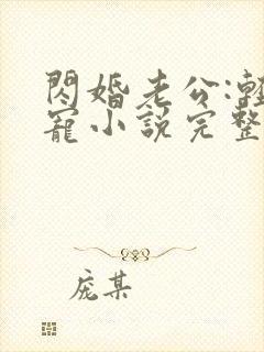 闪婚老公:轻点宠小说完整版