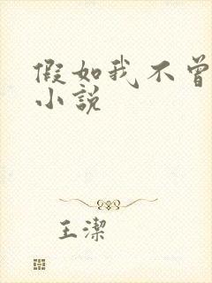 假如我不曾爱你小说封面