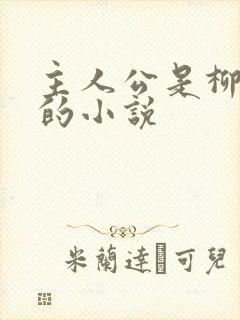 主人公是柳无邪的小说