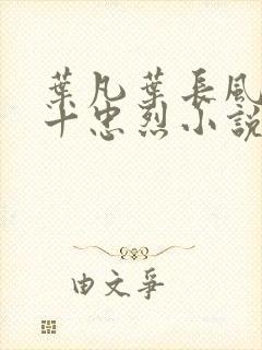 叶凡叶长风一门十忠烈小说书名