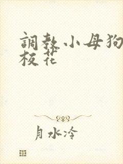 调教小母狗辣文校花封面