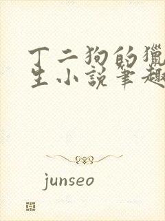 丁二狗的猎艳人生小说笔趣阁