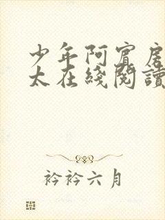 少年阿宾房东太太在线阅读第二章