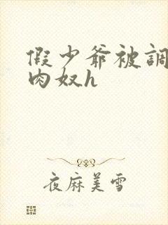 假少爷被调教成肉奴h