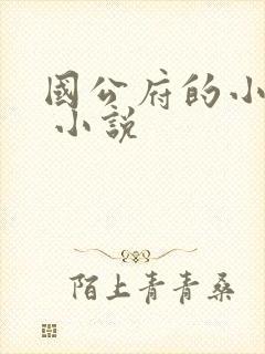 国公府的小娘子 小说封面