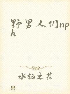 野男人们np高h