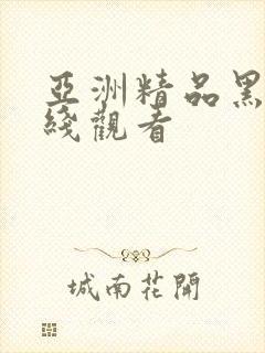 亚洲精品黑人在线观看