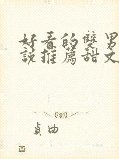 好看的双男主小说推荐甜文