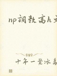 np调教高h文