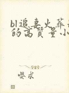 bl追妻火葬场的高质量小说