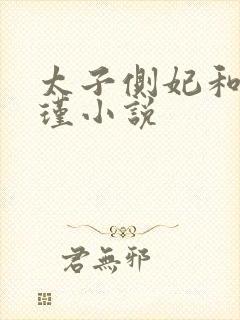 太子侧妃和沈怀瑾小说