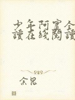 少年阿宾全文阅读在线阅读全文