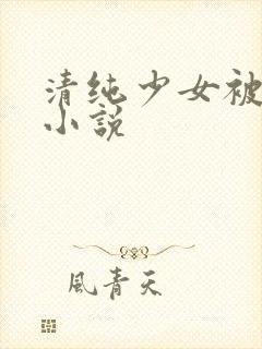 清纯少女被破处小说