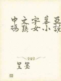 中文字幕亚洲乱码熟女小说