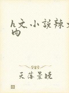 h文小说辣文肉肉