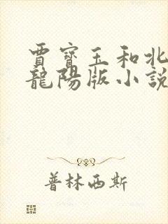 贾宝玉和北静王龙阳版小说