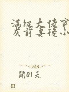 满级大佬穿成炮灰前妻后小说