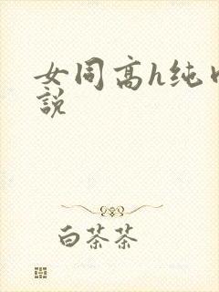 女同高h纯肉小说