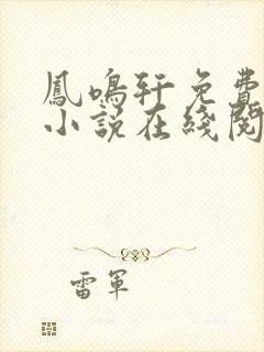 凤鸣轩免费言情小说在线阅读