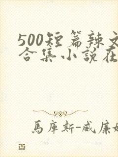 500短篇辣文合集小说在线阅读