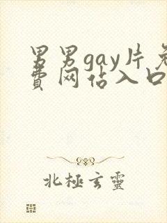 男男gay片免费网站入口