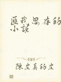 匪我思存的全部小说